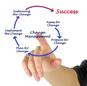 Consulting - Change Management